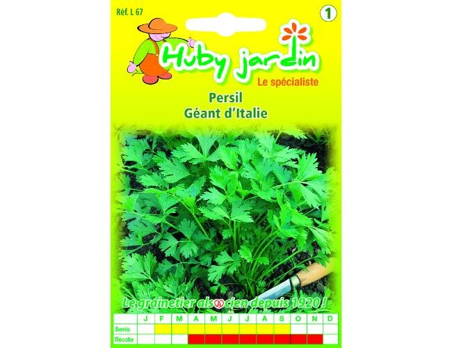 Petersilie Gigante d'Italia Saatgut | © Graines Hubert