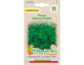 Petersilie Gigante d'Italia Bio Saatgut | © Graines Hubert