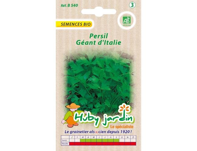 Petersilie Gigante d'Italia Bio Saatgut | © Graines Hubert