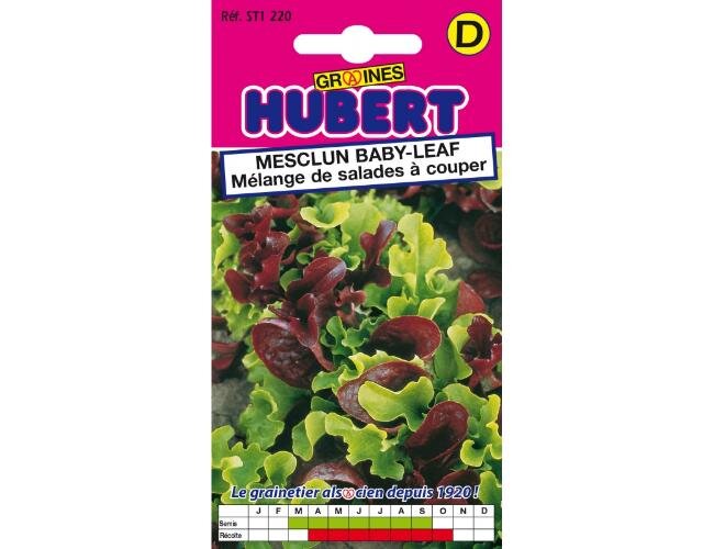 Pflücksalat Babyleaf mit Rucola Samen | © Graines Hubert