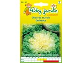 Chicoree eminence Saatgut | © Graines Hubert Chicoree eminence Saatgut | © Graines Hubert