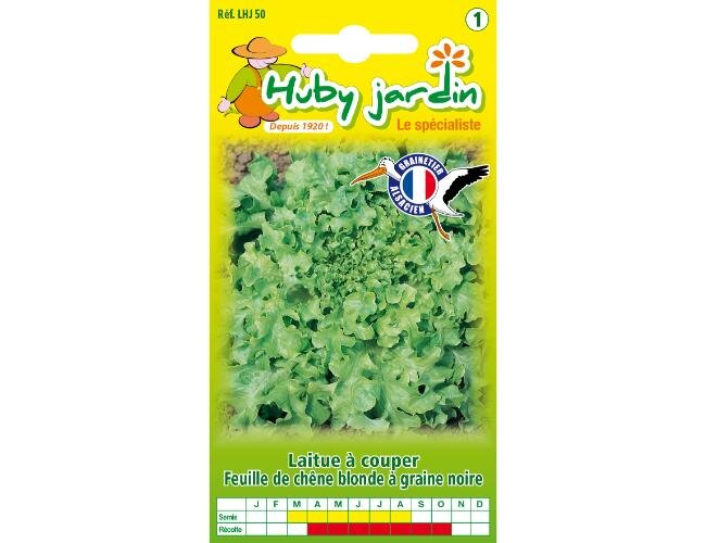 Eichblatt salat graine noire Saatgut | © Graines Hubert Eichblatt salat graine noire Saatgut | © Graines Hubert