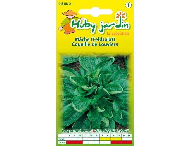 Feldsalat coquille de louviers Saatgut | © Graines Hubert Feldsalat coquille de louviers Saatgut | © Graines Hubert