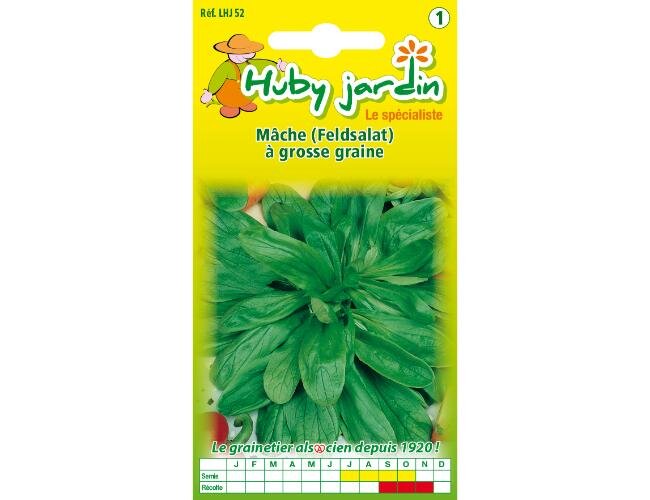 Holländischer breitblättriger bio Feldsalat Saatgut | © Graines Hubert Holländischer breitblättriger bio Feldsalat Saatgut | © Graines Hubert