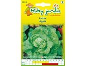 Kopfsalat appia Saatgut | © Graines Hubert