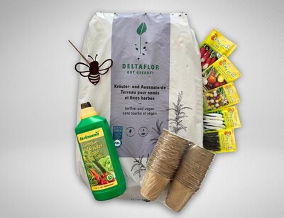 Sparset Rettich-Radieschen Wurzelkraft